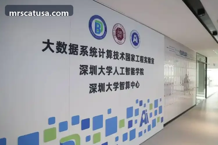 腾竞官方平台多模态病灶分析工作台